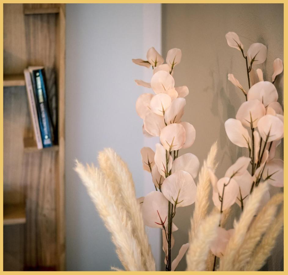Charmant Appartement Centre Ville Τονόν-λε-Μπαιν Εξωτερικό φωτογραφία